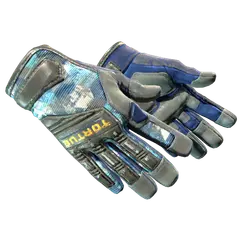 ★ Specialist Gloves | Mogul (Field-Tested)