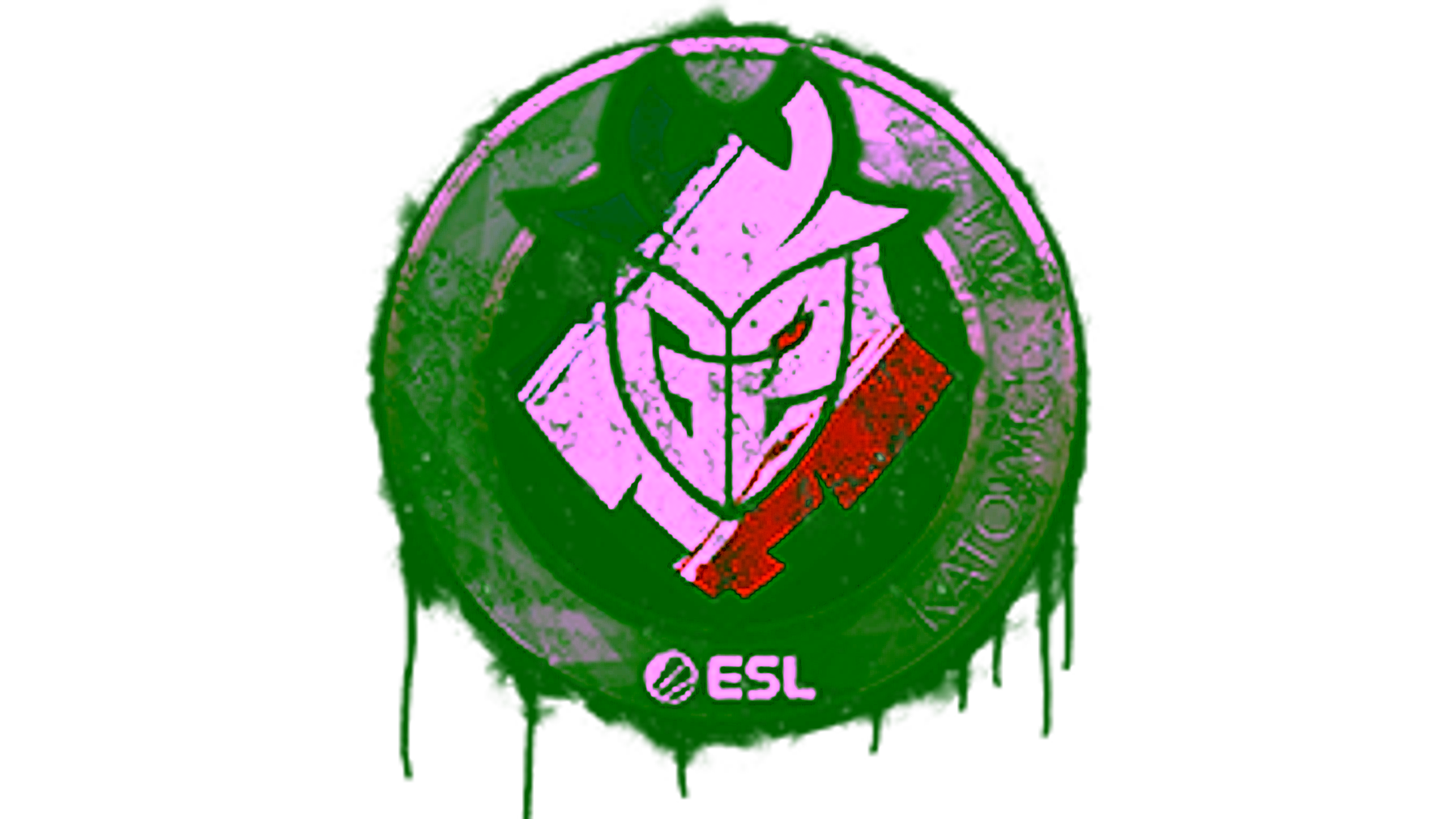 Display for Sealed Graffiti | G2 Esports | Katowice 2019