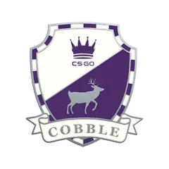 Genuine Cobblestone Pin