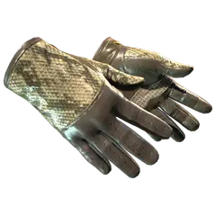 ★ Driver Gloves | Diamondback (Minimal Wear)