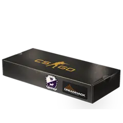 DreamHack 2014 Cobblestone Souvenir Package