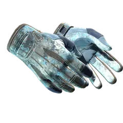 Sport Gloves Frosty