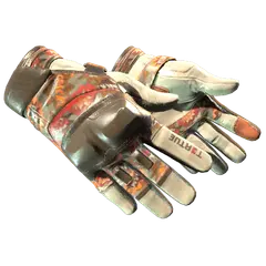 Moto Gloves POW!