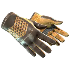 ★ Driver Gloves | Overtake (Well-Worn)