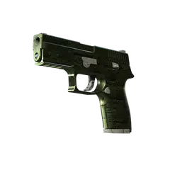 P250 Iron Clad