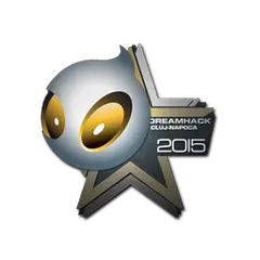 Team Dignitas | Cluj-Napoca 2015