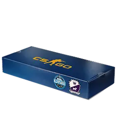 ESL One Cologne 2014 Cobblestone Souvenir Package