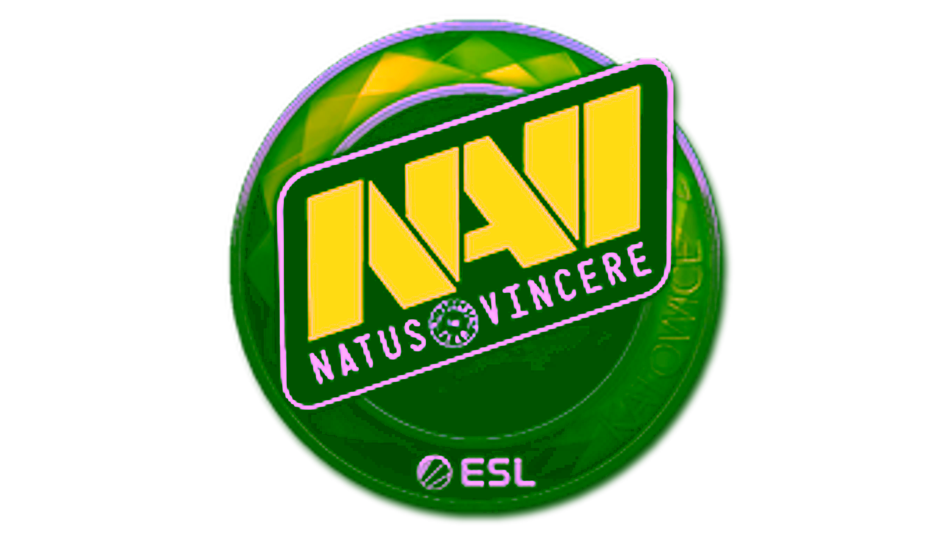 Display for Sticker | Natus Vincere (Foil) | Katowice 2019