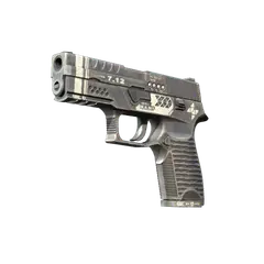 P250 Re.built