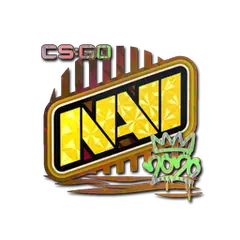 Natus Vincere (Holo) | 2020 RMR