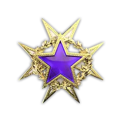 2015 Service Medal