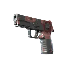 P250 Constructivist