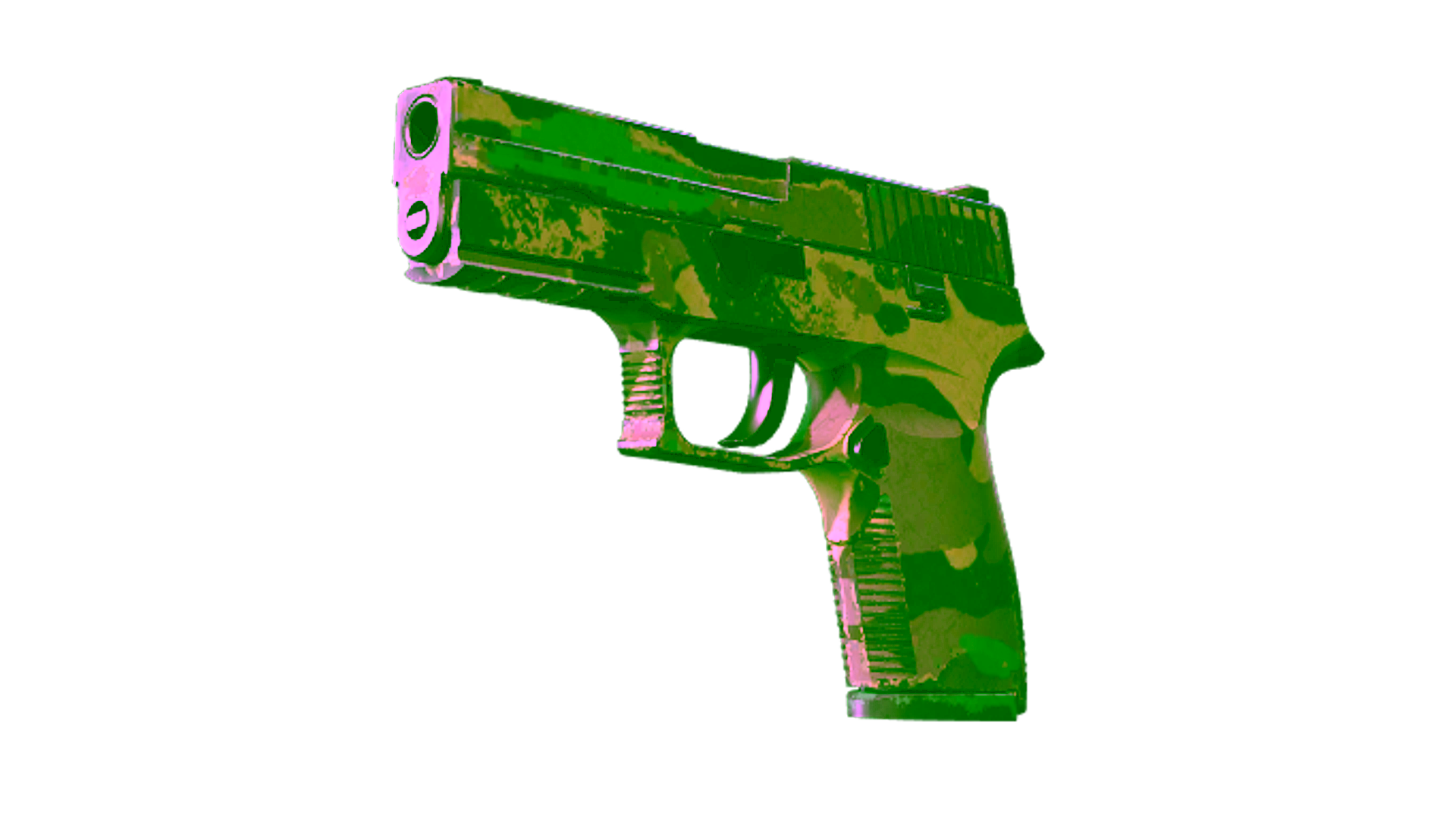 Display for P250 | Boreal Forest (Well-Worn)
