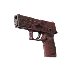 P250 Contaminant