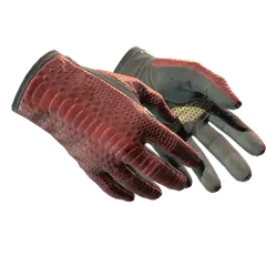 Driver Gloves Dragon Fists