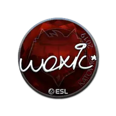 woxic (Foil) | Katowice 2019