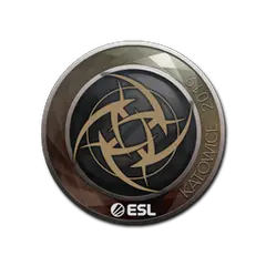 Sticker Ninjas in Pyjamas Katowice 2019