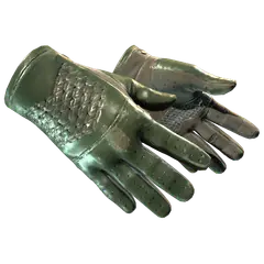 ★ Driver Gloves | Racing Green (Well-Worn)