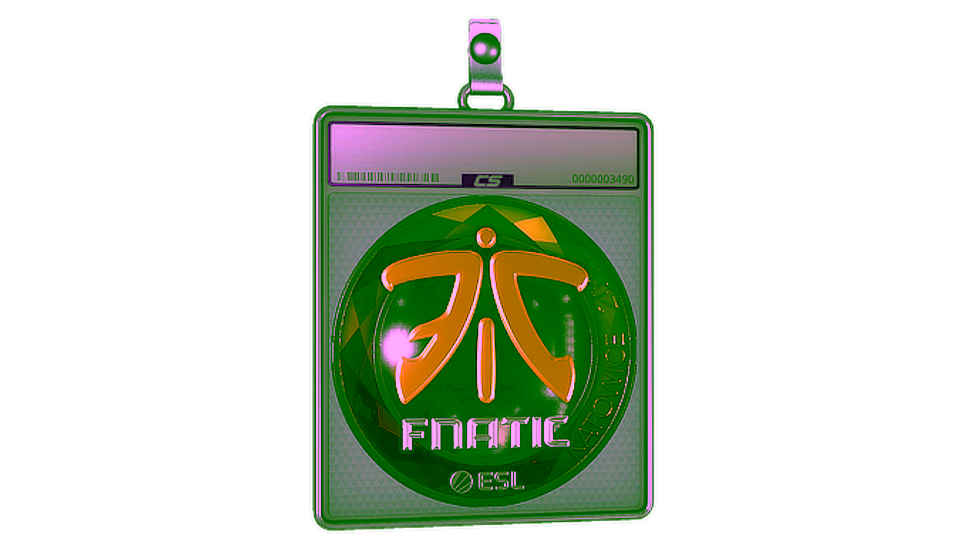 Display for Sticker Slab | Fnatic (Foil) | Katowice 2019