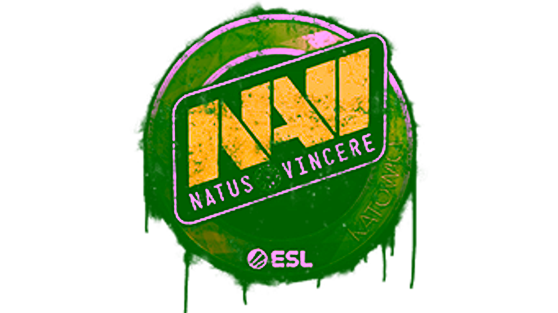 Display for Sealed Graffiti | Natus Vincere | Katowice 2019