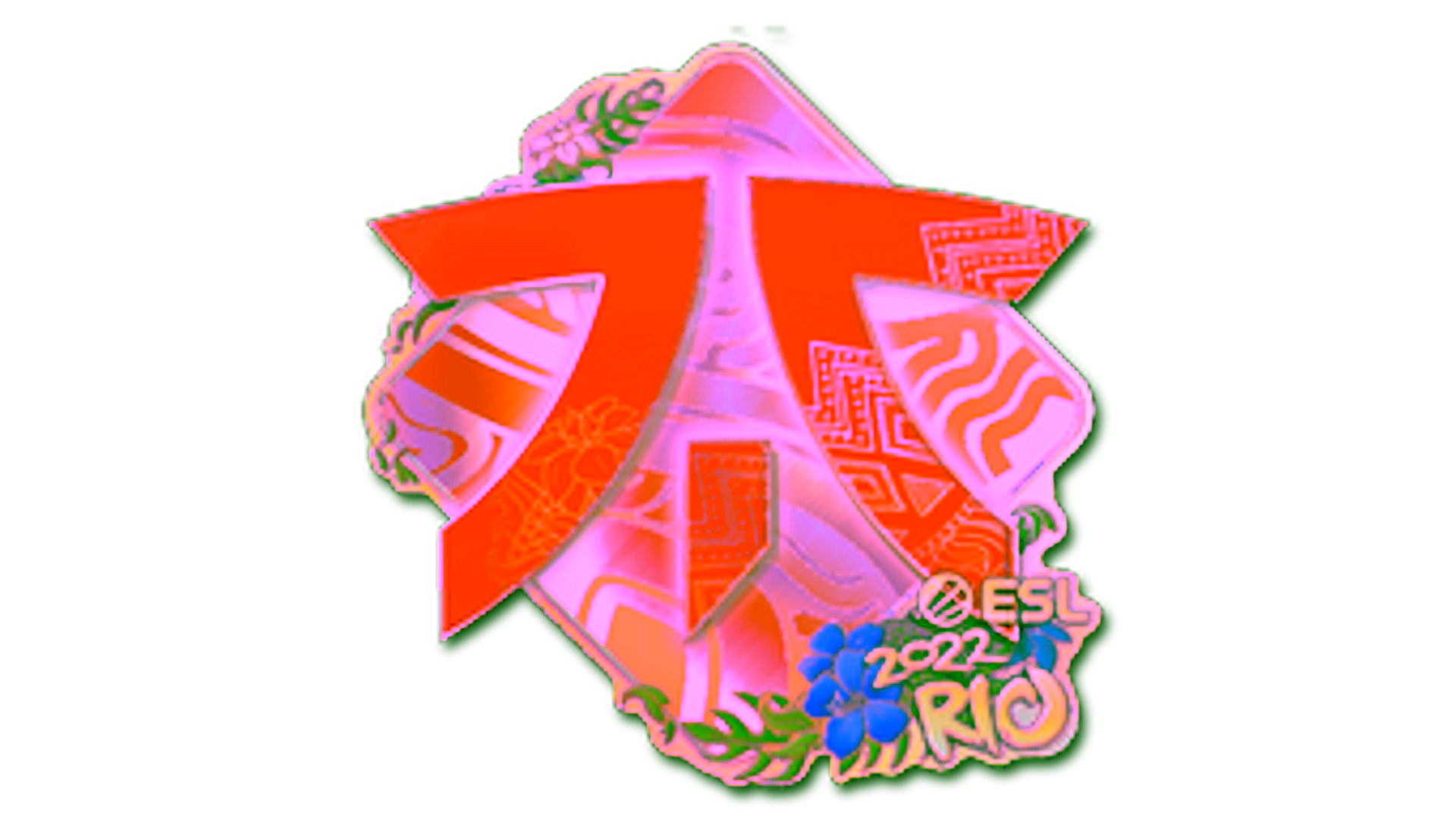 Display for Sticker | Fnatic (Holo) | Rio 2022
