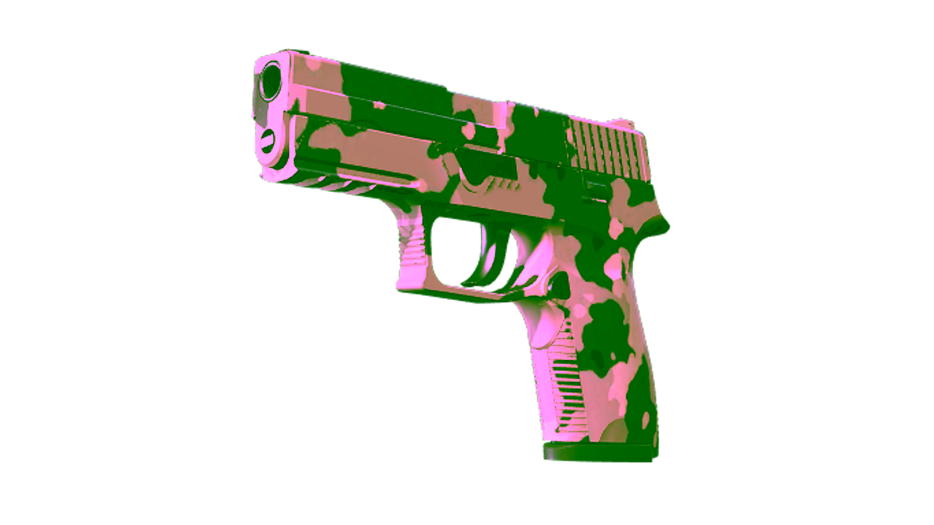 Display for P250 | Black & Tan (Factory New)