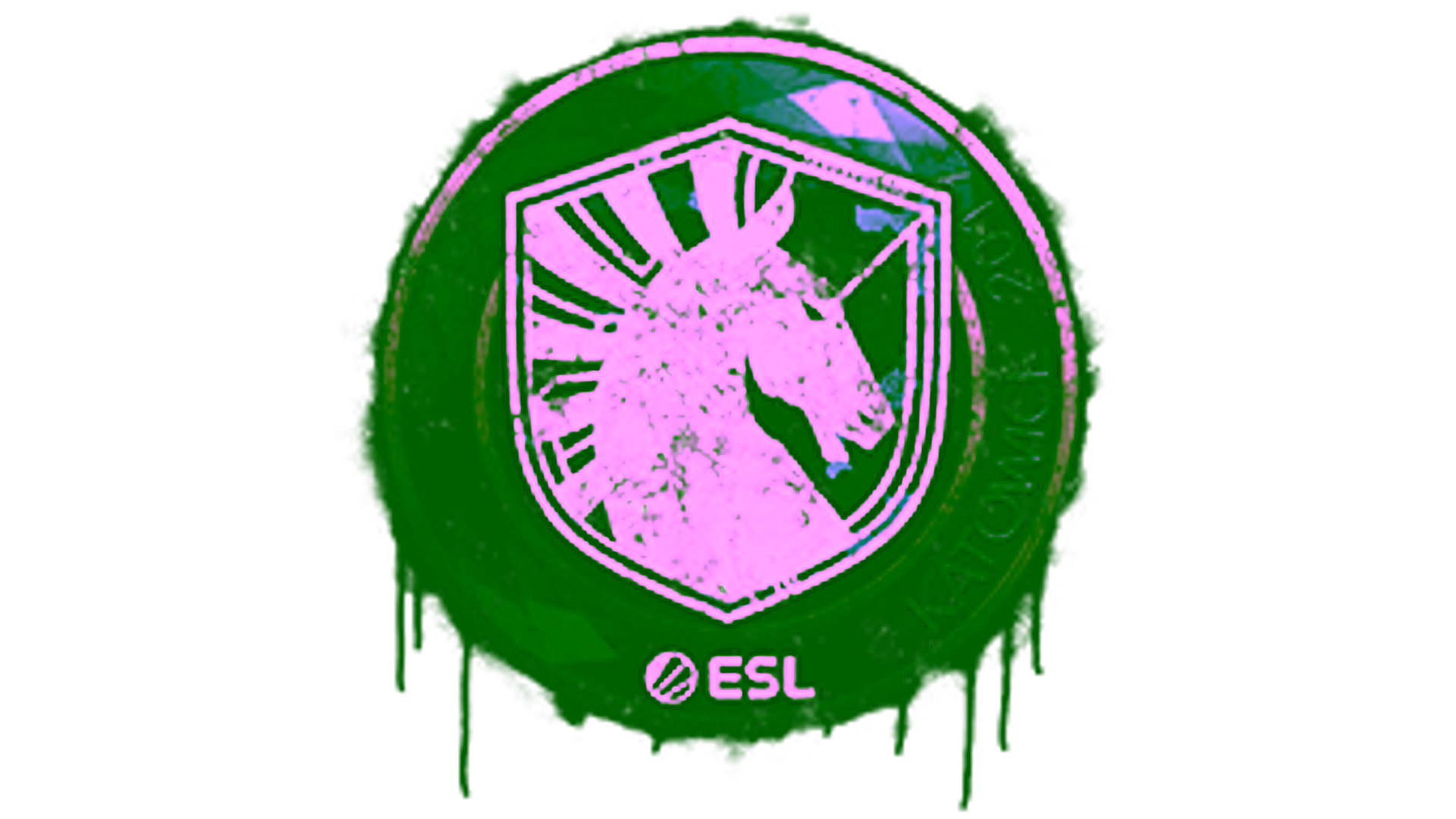 Display for Sealed Graffiti | Team Liquid | Katowice 2019