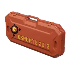 eSports 2013 Case