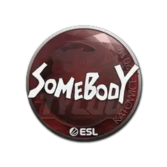 Sticker somebody Katowice 2019