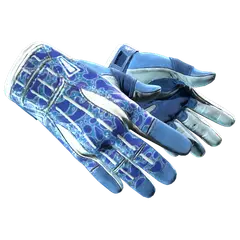 Sport Gloves Amphibious