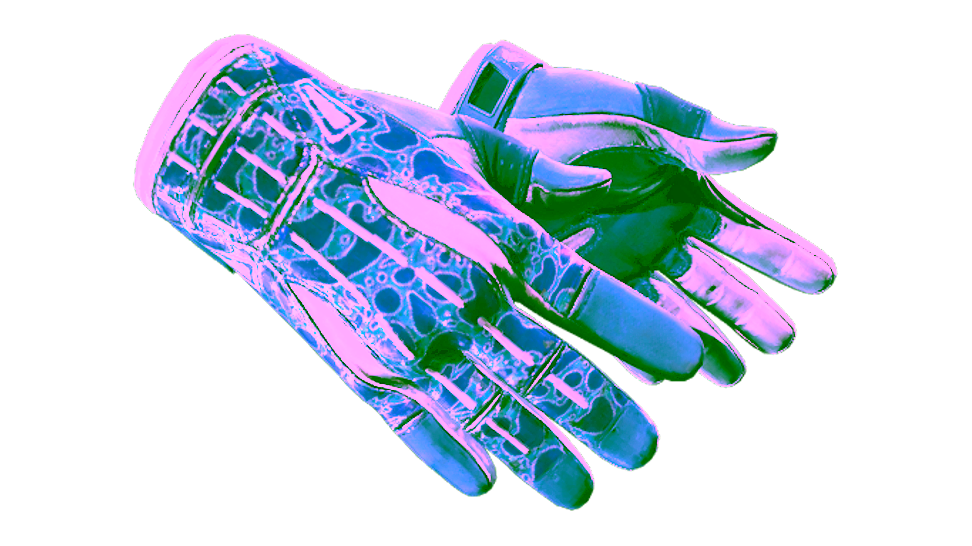 Display for ★ Sport Gloves | Amphibious (Factory New)