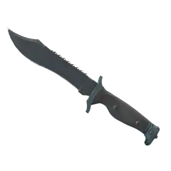 ★ Bowie Knife | Night (Field-Tested)