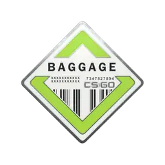 Baggage Pin