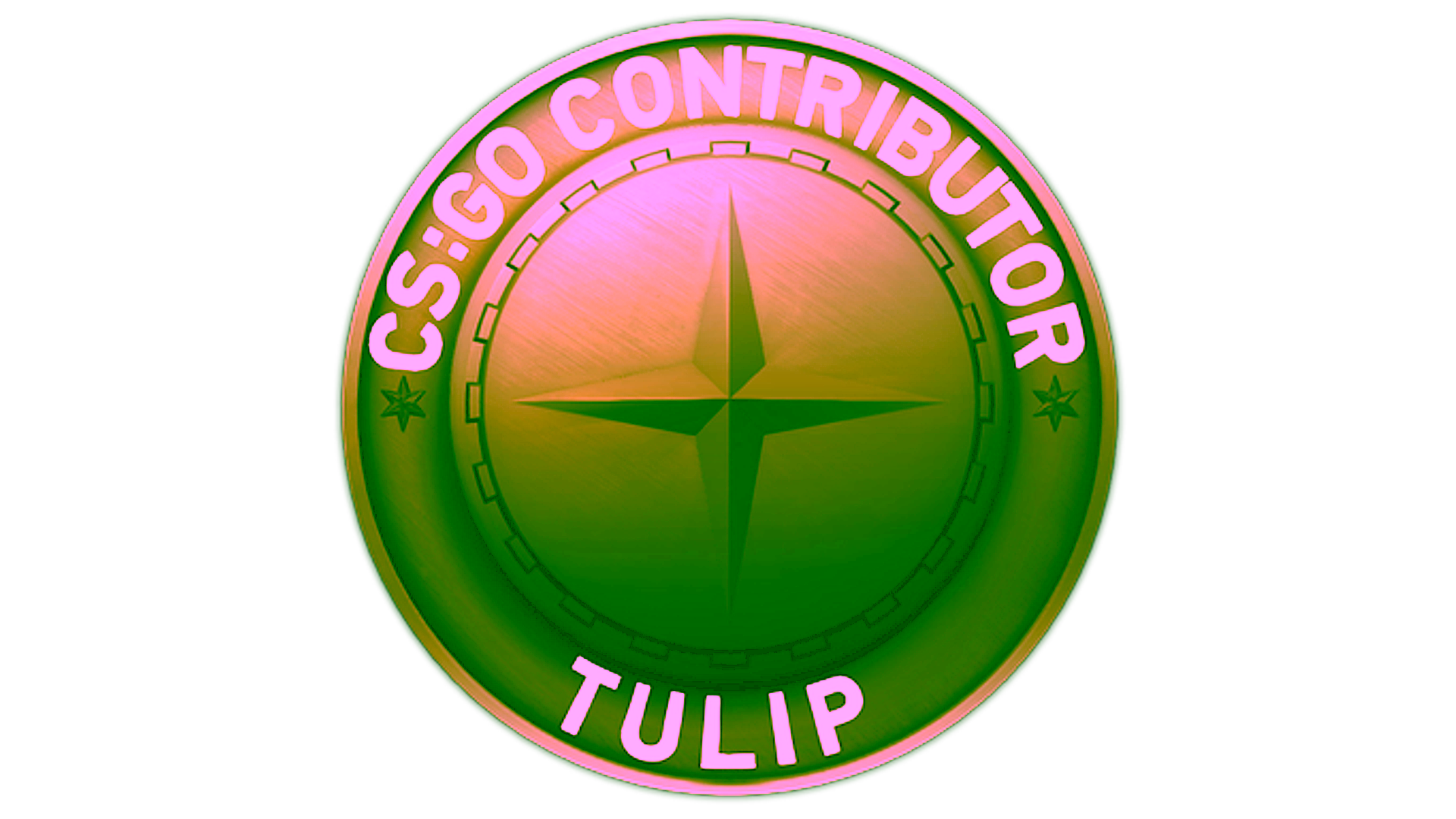Display for Tulip Map Coin