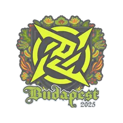 Sticker Ninjas in Pyjamas Budapest 2025