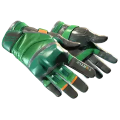 Moto Gloves Turtle