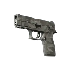 P250 Facets