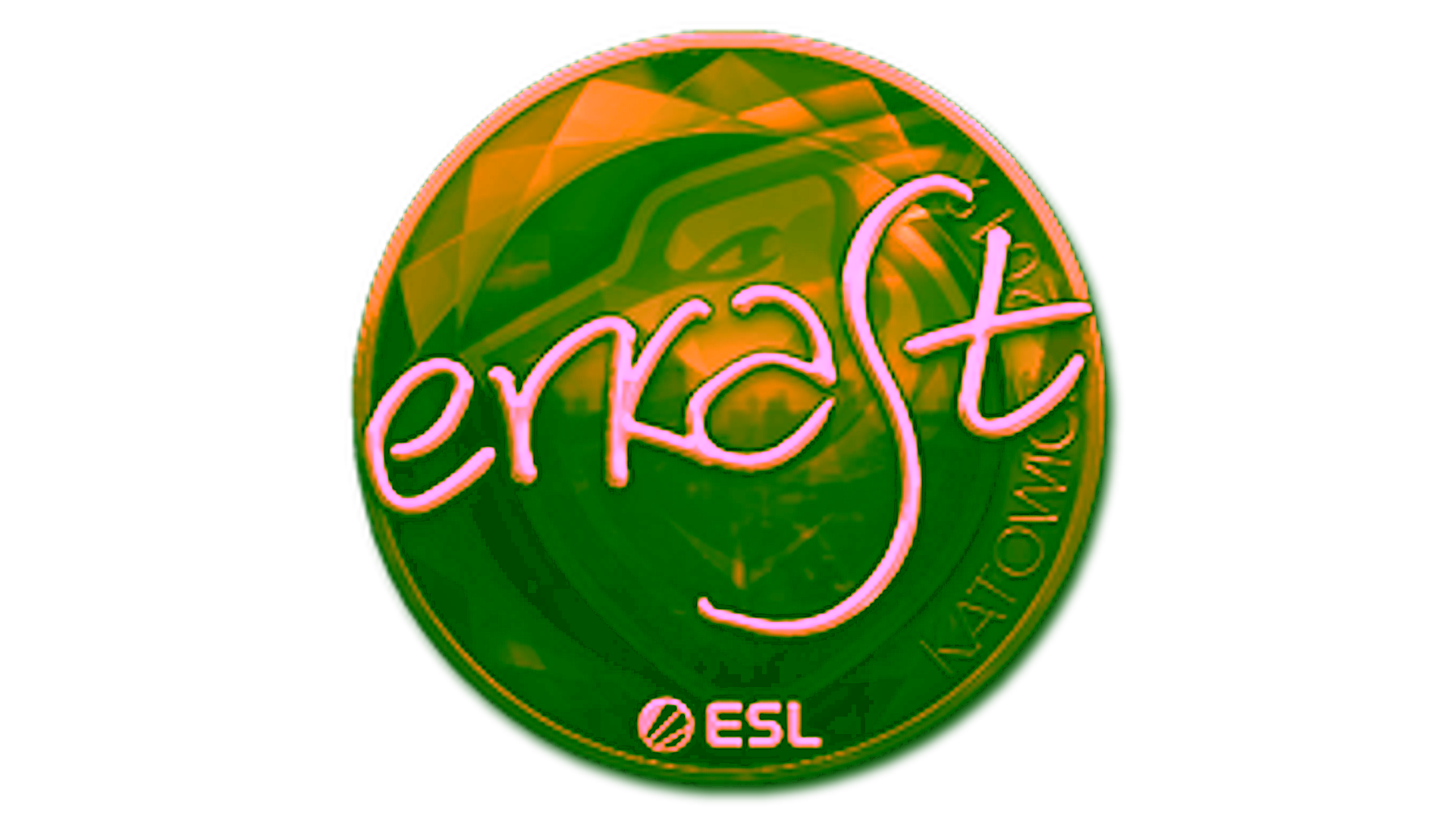 Display for Sticker | erkaSt (Gold) | Katowice 2019