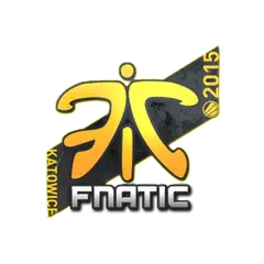 Fnatic | Katowice 2015