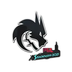 Team Spirit | Stockholm 2021