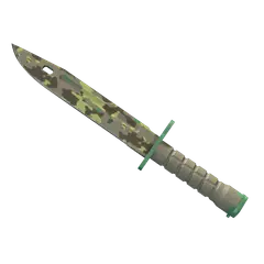 Bayonet Boreal Forest