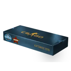 ESL One Katowice 2015 Cache Souvenir Package
