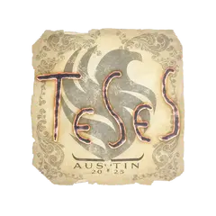 Sticker TeSeS Austin 2025