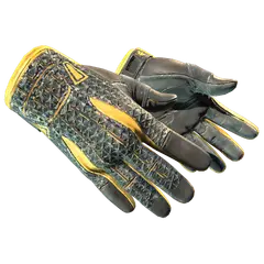 Sport Gloves Omega