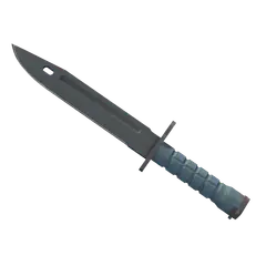 ★ StatTrak™ Bayonet | Night (Minimal Wear)