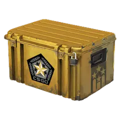 Gamma 2 Case