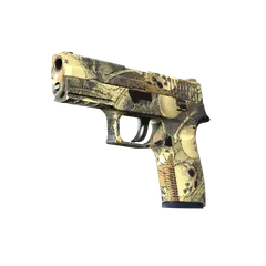 P250 Contamination