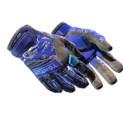 Specialist Gloves Cloud Chaser