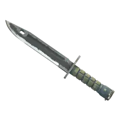 ★ Bayonet | Night (Battle-Scarred)