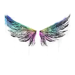 Sealed Graffiti Wings